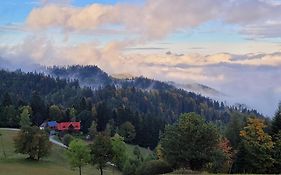 Domek na Obidzy
